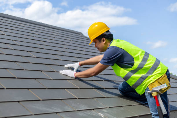 Best Roofing Contractor Near Me  in Mount Olive, MS