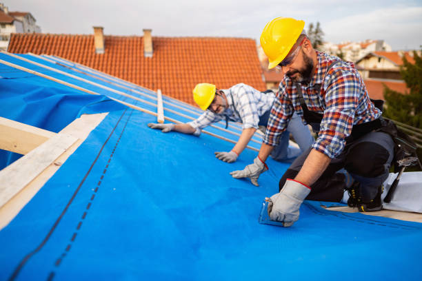 Best Metal Roofing Contractor  in Mount Olive, MS