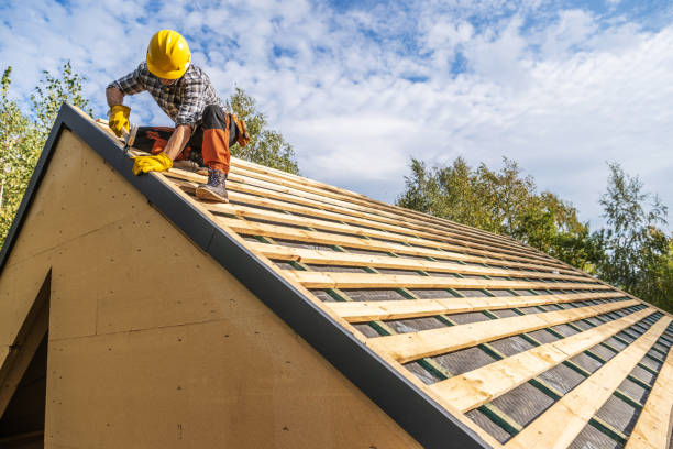 Best Local Roofing Companies  in Mount Olive, MS