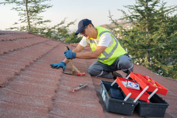 Best Shingle Roofing Installation  in Mount Olive, MS