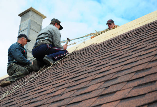 Best Roof Gutter Cleaning  in Mount Olive, MS