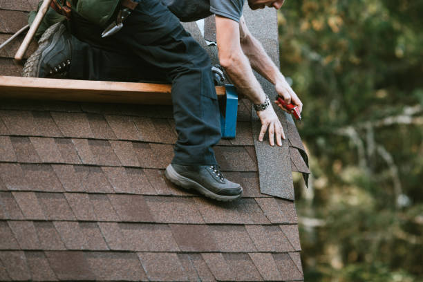 Best Roof Waterproofing Services  in Mount Olive, MS