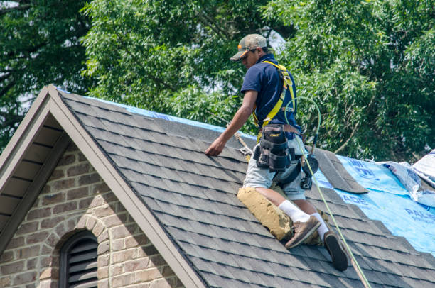 Best Roof Maintenance Services  in Mount Olive, MS