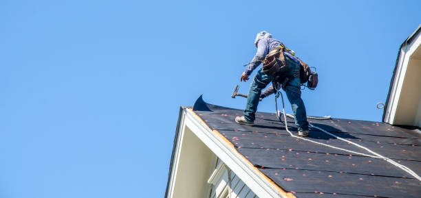 Best Roof Repair Services  in Mount Olive, MS